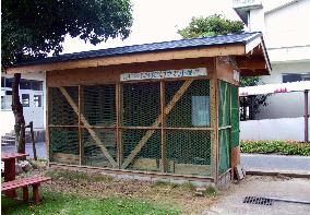 11 rabbits found killed at school in Tottori